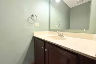 879 N Auburn Woods Dr, Palatine, IL 60067 - Photo 14
