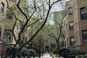 539 W Brompton Ave, Chicago, IL 60657 - Photo 4