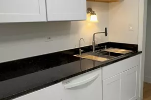539 W Brompton Ave, Chicago, IL 60657 - Photo 14