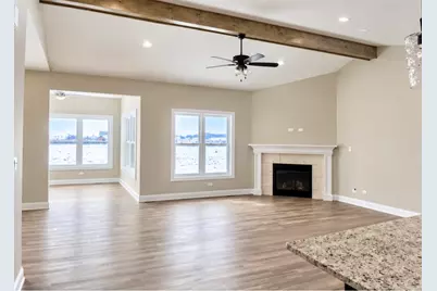 26461 Jace Court, Channahon, IL 60410 - Photo 4