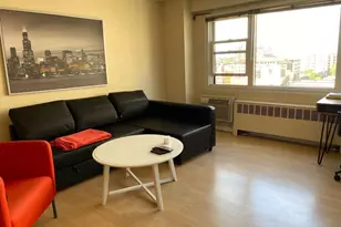 2909 N Sheridan Rd, Chicago, IL 60657 - Photo 8