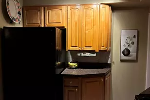 6971 W School St, Chicago, IL 60634 - Photo 20