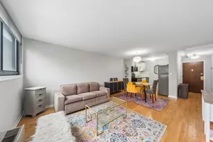 30 E Division St, Chicago, IL 60610 - Photo 8