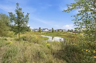 16427 Wheatgrass St, Lockport, IL 60441 - Photo 40