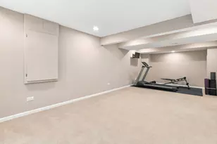 11423 Glenbrook Cir, Plainfield, IL 60585 - Photo 22