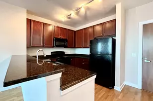 1901 S Calumet Ave, Chicago, IL 60616 - Photo 10