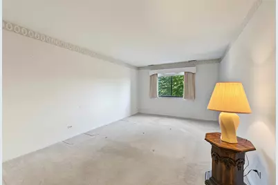 101 Old Oak Drive #215, Buffalo Grove, IL 60089 - Photo 14