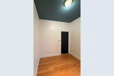 1605 S Blue Island Avenue #2, Chicago, IL 60608 - Photo 10