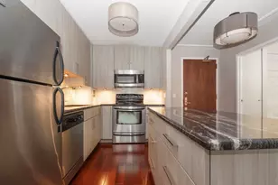 401 E Ontario St, Chicago, IL 60611 - Photo 6