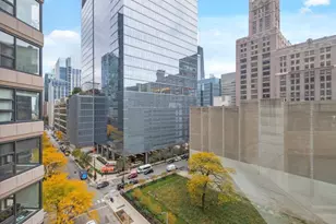 401 E Ontario St, Chicago, IL 60611 - Photo 16