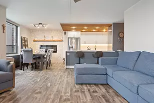 222 E Pearson St, Chicago, IL 60611 - Photo 2
