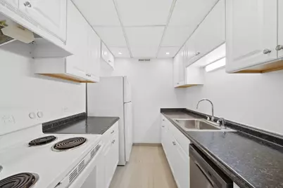 3850 S Parkway Drive #1G, Northbrook, IL 60062 - Photo 12
