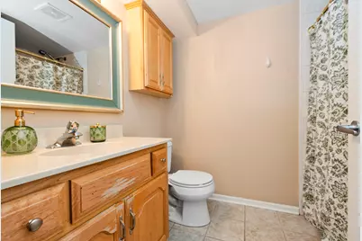 8733 Willow Boulevard #1C, Willow Springs, IL 60480 - Photo 16