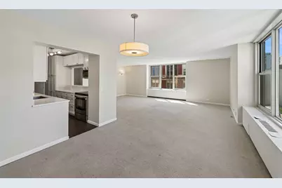 1325 N State Parkway #13B, Chicago, IL 60610 - Photo 10