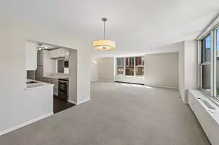 1325 N State Pkwy, Chicago, IL 60610 - Photo 10