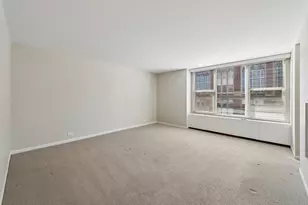 1325 N State Pkwy, Chicago, IL 60610 - Photo 14