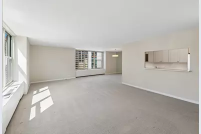 1325 N State Parkway #13B, Chicago, IL 60610 - Photo 6
