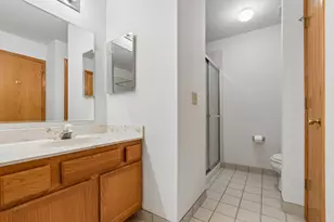 18260 Kirby Dr, Tinley Park, IL 60487 - Photo 18