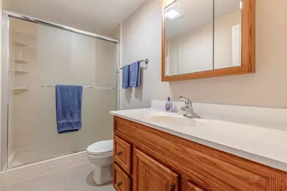 270 W Winding Trail Circle, Round Lake, IL 60073 - Photo 42