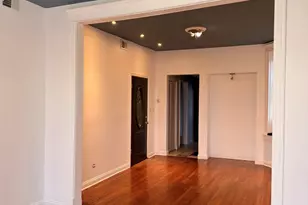 1605 S Blue Island Ave, Chicago, IL 60608 - Photo 4