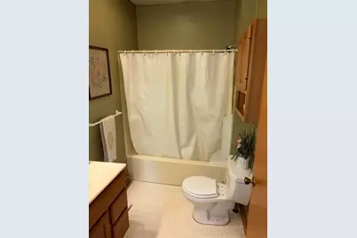 211 N Seminary Street, Downs, IL 61736 - Photo 76
