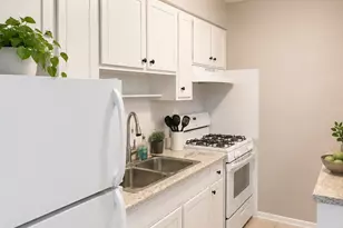 3161 N Cambridge Ave, Chicago, IL 60657 - Photo 2