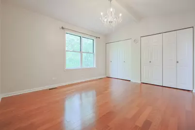 20 Sarahs Grove Lane, Schaumburg, IL 60193 - Photo 28