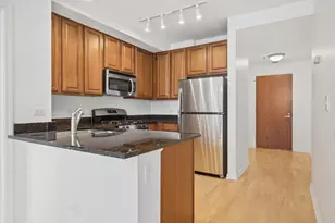 1255 S State St, Chicago, IL 60605 - Photo 8