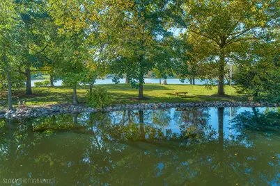 121 S Hills Drive, Tower Lakes, IL 60010 - Photo 46