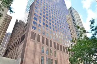 161 E Chicago Ave, Chicago, IL 60611 - Photo 1
