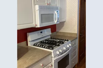 5775 N Nina Avenue, Chicago, IL 60631 - Photo 22