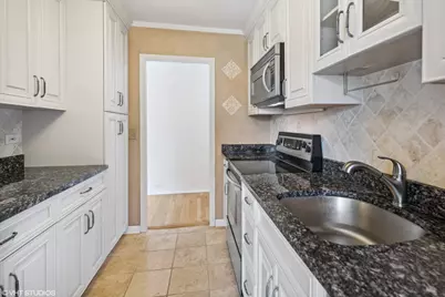 1255 N Sandburg Terrace #1202, Chicago, IL 60610 - Photo 8