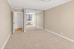 1255 N Sandburg Terrace, Chicago, IL 60610 - Photo 14
