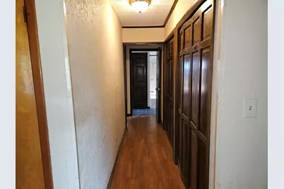 305 Fife Street, Carrier Mills, IL 62917 - Photo 22