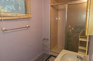 132 Shabbona Dr, Park Forest, IL 60466 - Photo 16