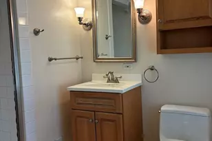1116 Woodview Rd, Burr Ridge, IL 60527 - Photo 28