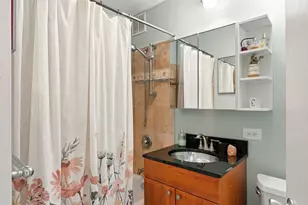 1355 N Sandburg Terrace, Chicago, IL 60610 - Photo 18