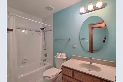 17336 Carlyle Court, Tinley Park, IL 60487 - Photo 22