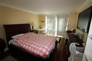 195 N Harbor Dr, Chicago, IL 60601 - Photo 6