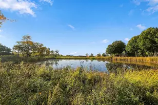170 Salford Dr, Algonquin, IL 60102 - Photo 38