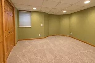 933 Brian Dr, Manteno, IL 60950 - Photo 28