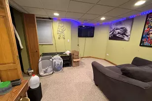 933 Brian Dr, Manteno, IL 60950 - Photo 26