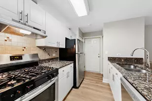 301A W Goethe St, Chicago, IL 60610 - Photo 10