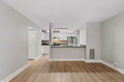 301A W Goethe Street #201, Chicago, IL 60610 - Photo 8