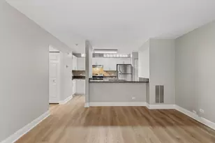 301A W Goethe St, Chicago, IL 60610 - Photo 8