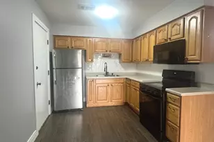 2728 W 87th St, Chicago, IL 60652 - Photo 4