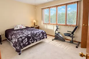 14161 Rado Dr, Homer Glen, IL 60491 - Photo 8