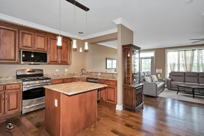 8638 Saddlebred Court, Frankfort, IL 60423 - Photo 10
