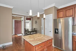 8638 Saddlebred Ct, Frankfort, IL 60423 - Photo 12