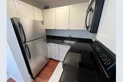 260 E Chestnut Street #1511, Chicago, IL 60611 - Photo 20